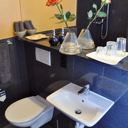 Profis Hotel 3*